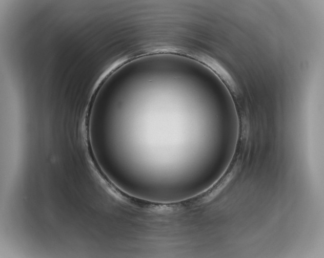 X0000113090806200908281242