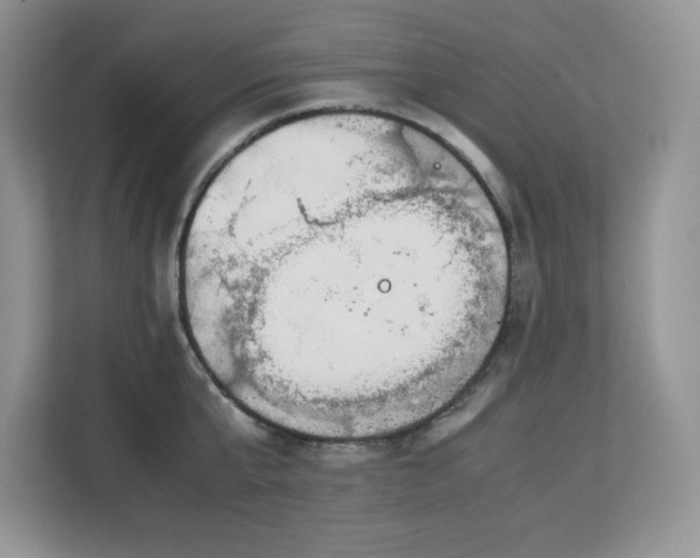 X0000113090807200908281242