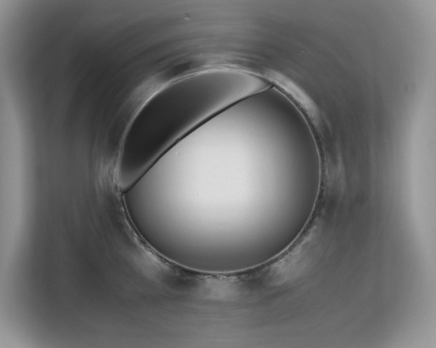 X0000113090809200908281242