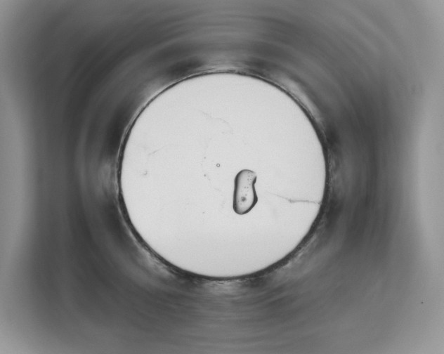 X0000113090810200908281242