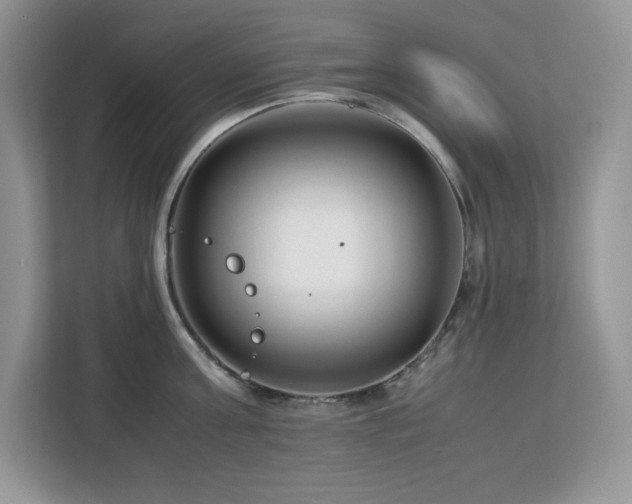 X0000113090811200908281242
