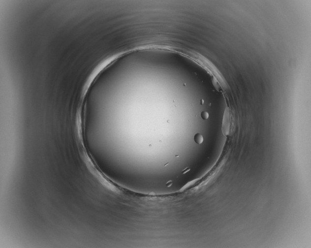 X0000113090812200908281242