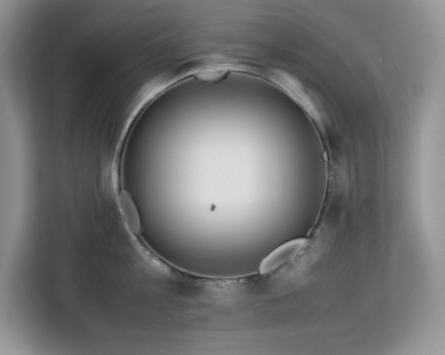 X0000113090813200908281242