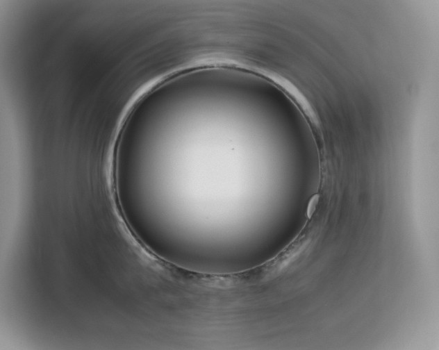 X0000113090815200908281242