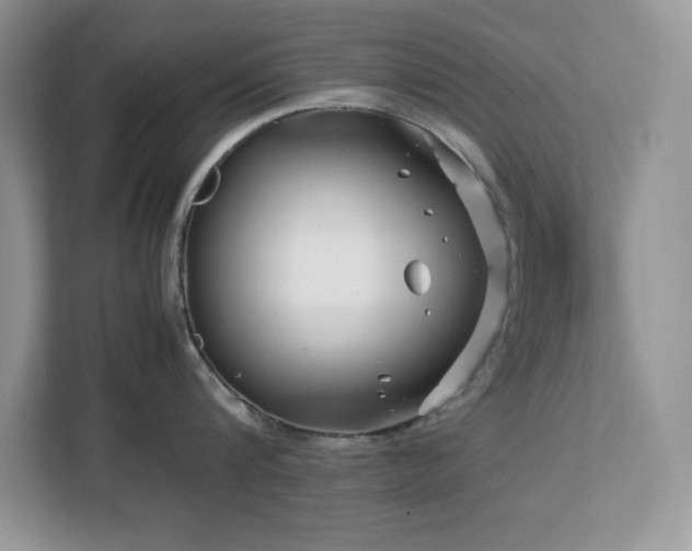 X0000113090816200908281242