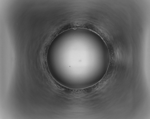 X0000113090817200908281241