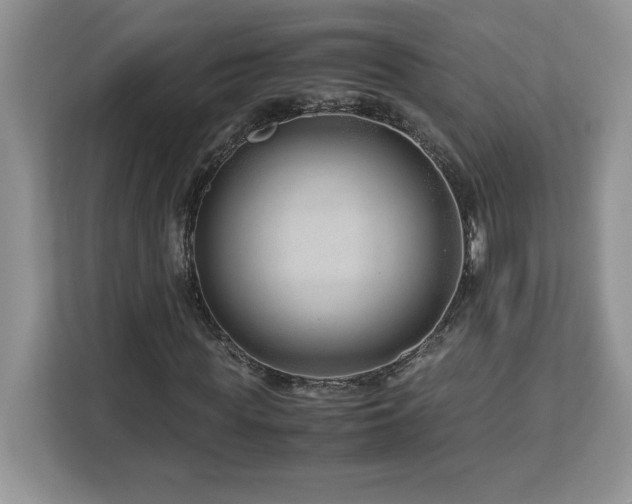 X0000113090819200908281241