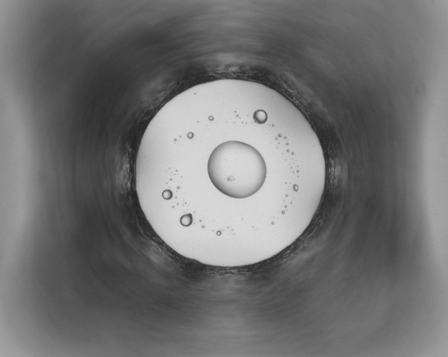 X0000113090820200908281241
