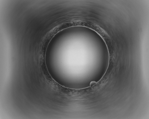 X0000113090821200908281241