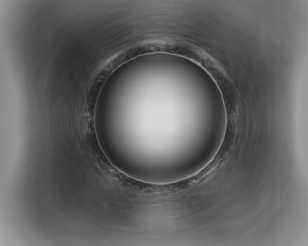 X0000113090822200908281241