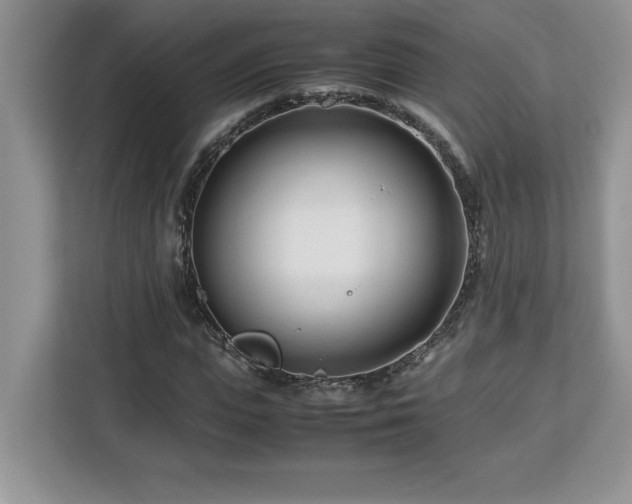 X0000113090823200908281241