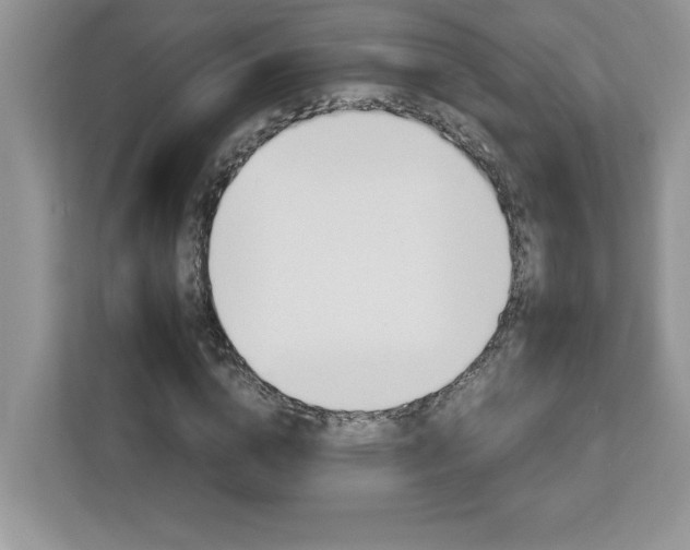 X0000113090824200908281241