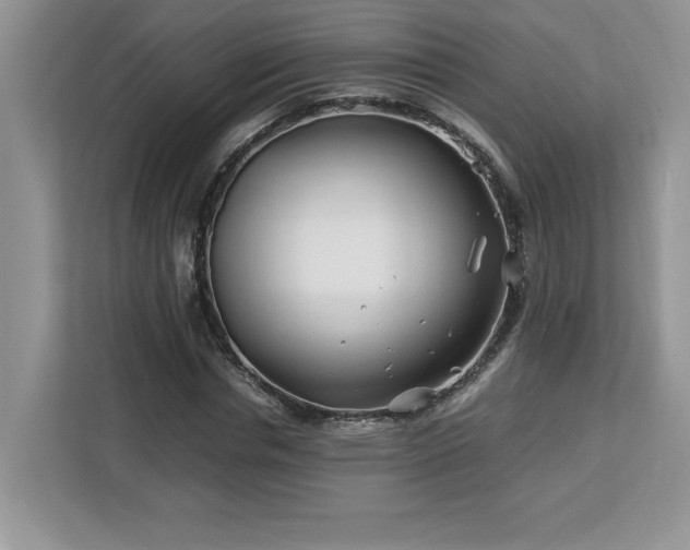 X0000113090826200908281241