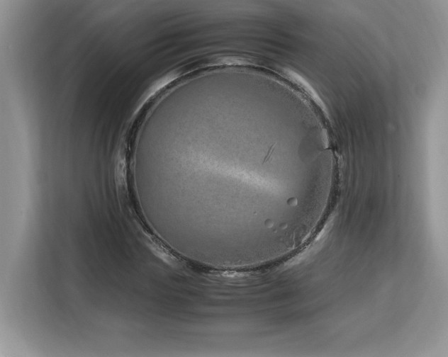 X0000113090827200908281241