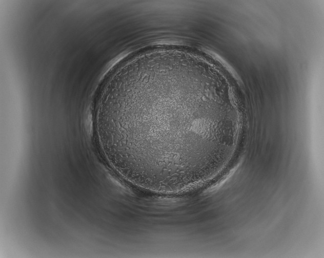X0000113090829200908281241