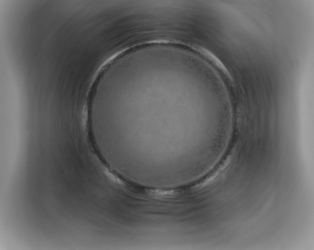 X0000113090831200908281241
