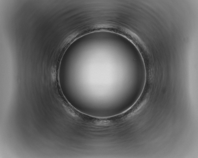 X0000113090833200908281242