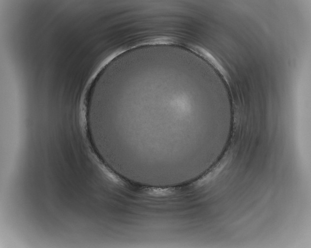 X0000113090835200908281242