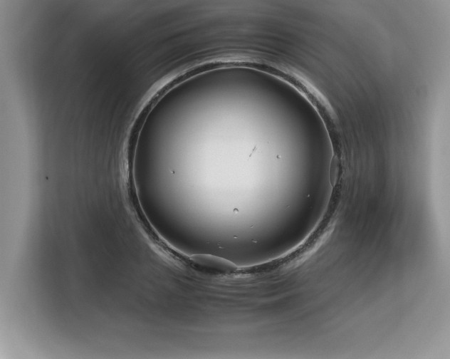 X0000113090837200908281242