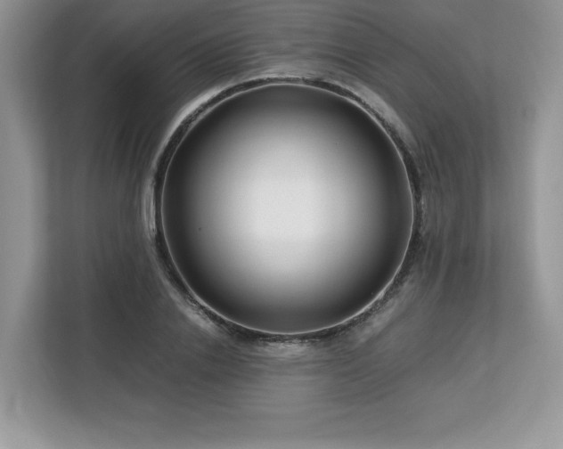 X0000113090838200908281242