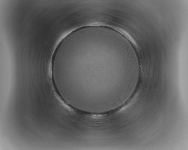 X0000113090839200908281242