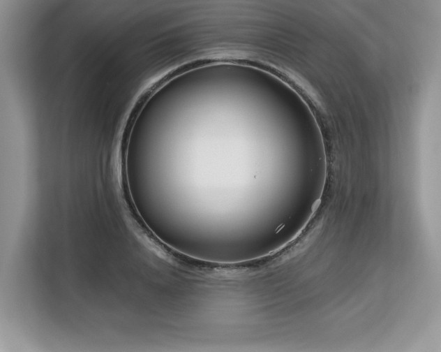 X0000113090840200908281242