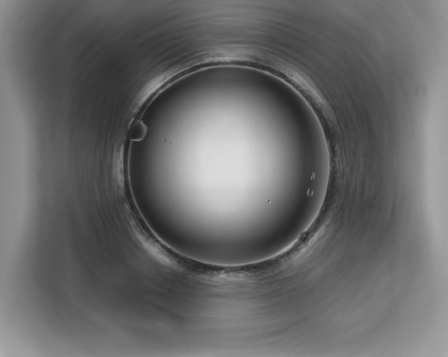 X0000113090842200908281242
