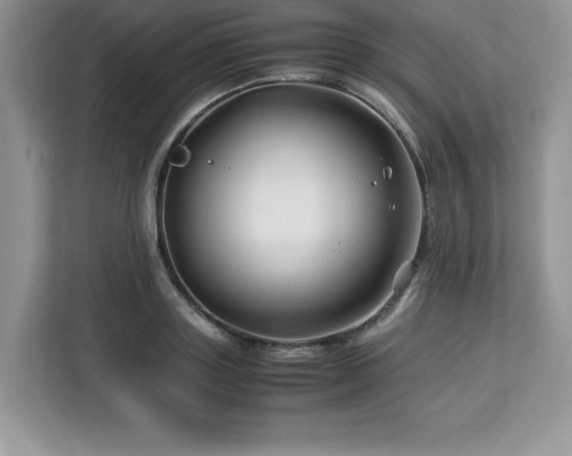 X0000113090843200908281242