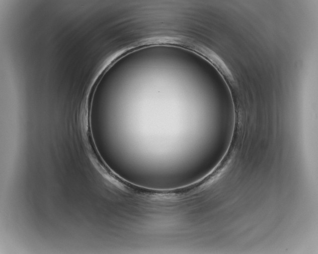X0000113090844200908281242