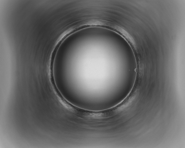 X0000113090845200908281242