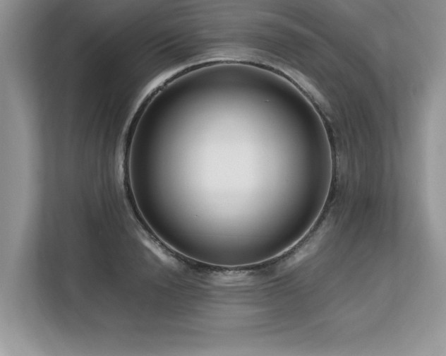 X0000113090846200908281242