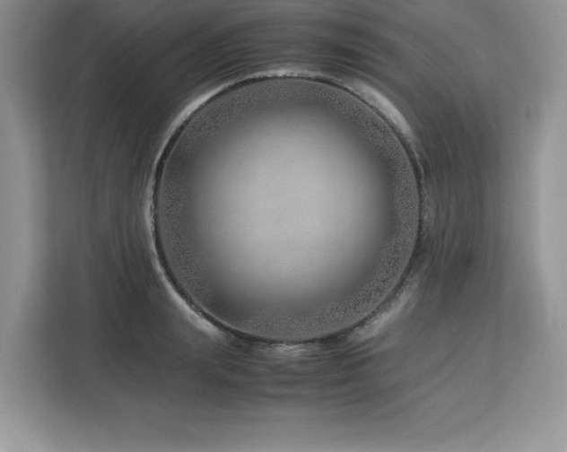 X0000113090847200908281242