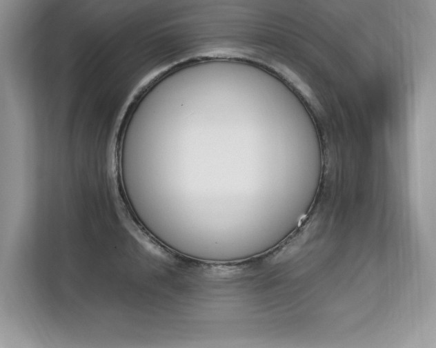 X0000113090848200908281242