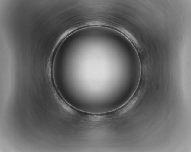 X0000113090854200908281242