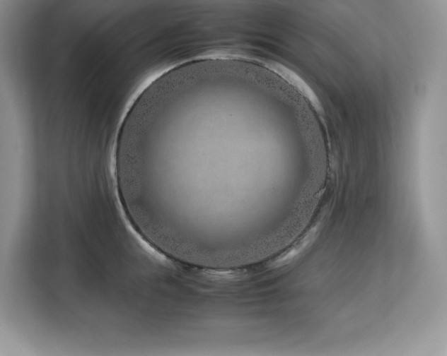X0000113090855200908281242