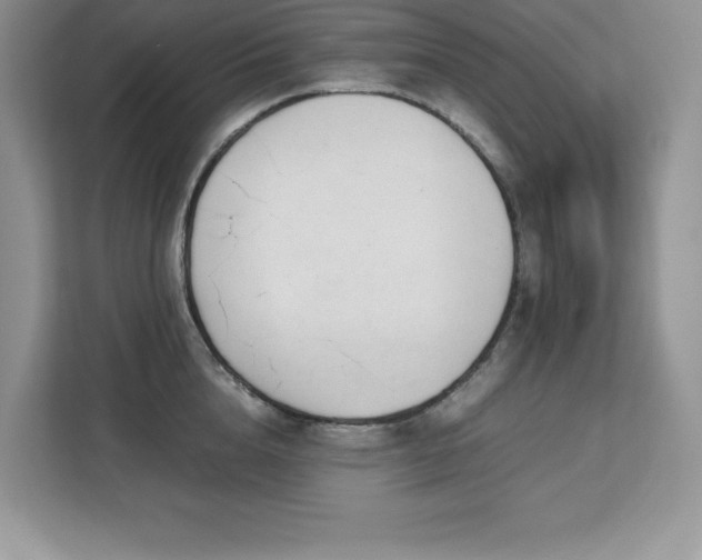 X0000113090856200908281242