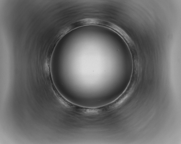 X0000113090857200908281242