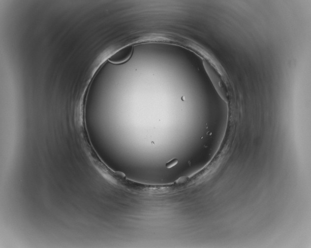 X0000113090858200908281242