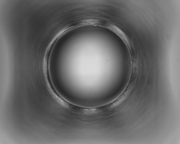 X0000113090859200908281242