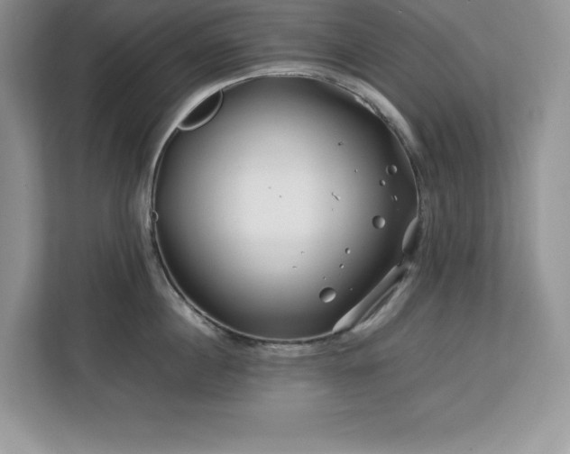 X0000113090860200908281242
