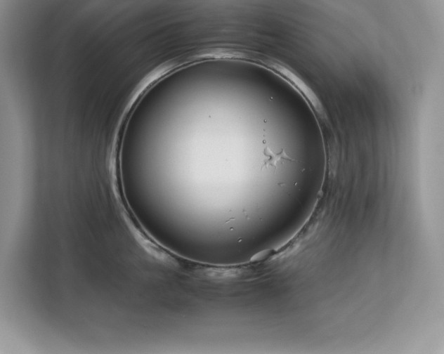 X0000113090861200908281242
