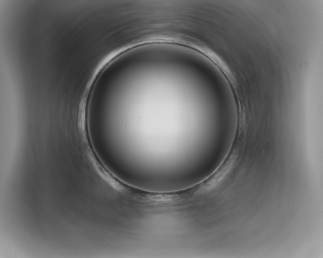 X0000113090862200908281242