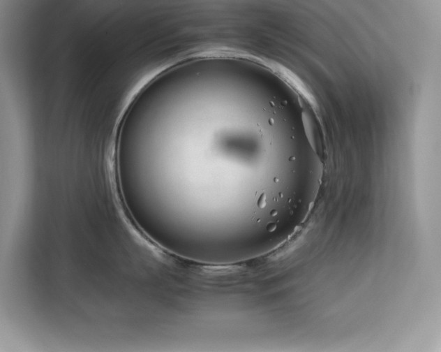 X0000113090863200908281242