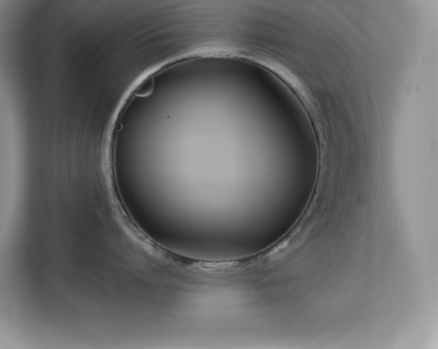 X0000113090864200908281242
