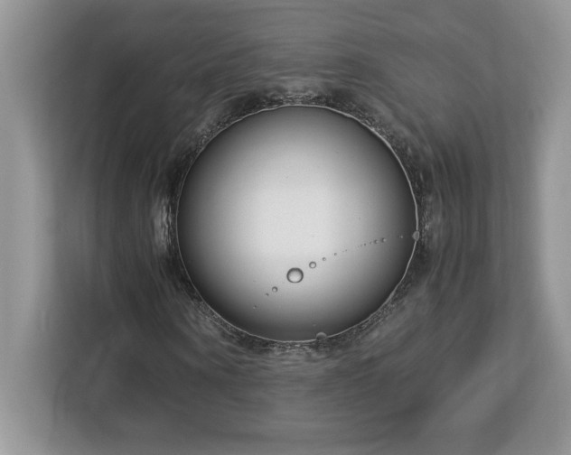 X0000113090866200908281241