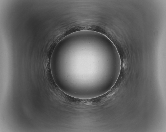 X0000113090867200908281241