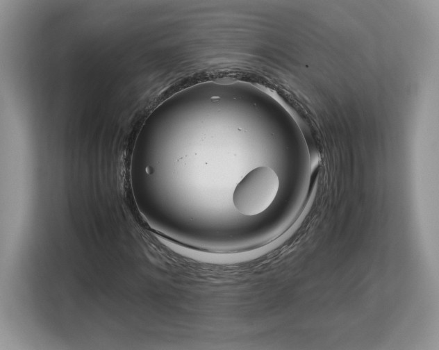 X0000113090868200908281241