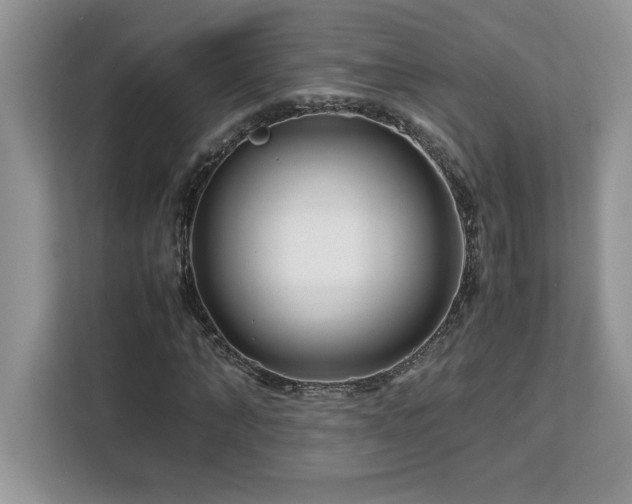 X0000113090870200908281241