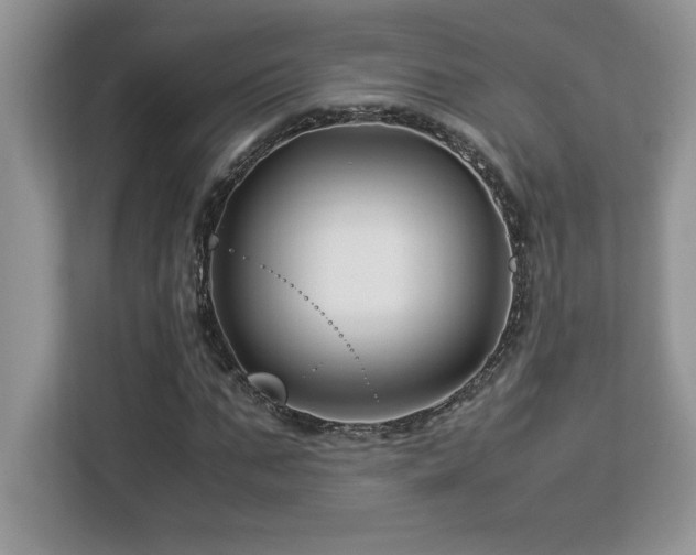 X0000113090871200908281241
