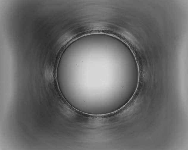 X0000113090873200908281241